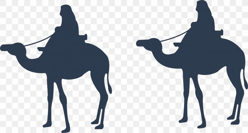 Dromedary Cartoon Eid Al-Adha, PNG, 2000x1075px, Dromedary, Arabian Camel, Camel, Camel Like Mammal, Cartoon Download Free