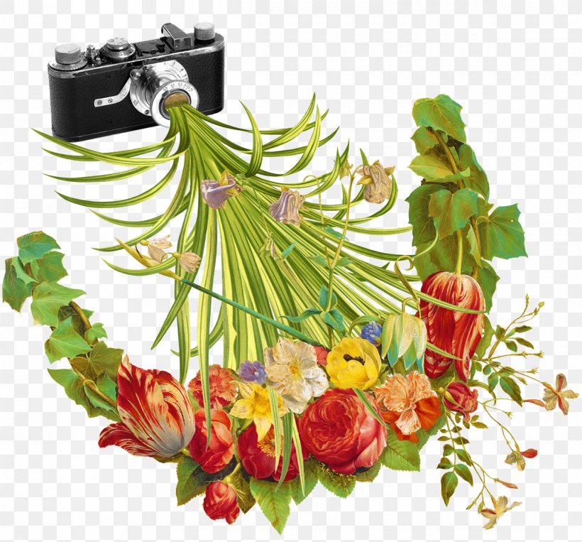 Photography Camera Flower Illustration, PNG, 1200x1118px, Photography, Art, Camera, Contemporary Art, Creativity Download Free