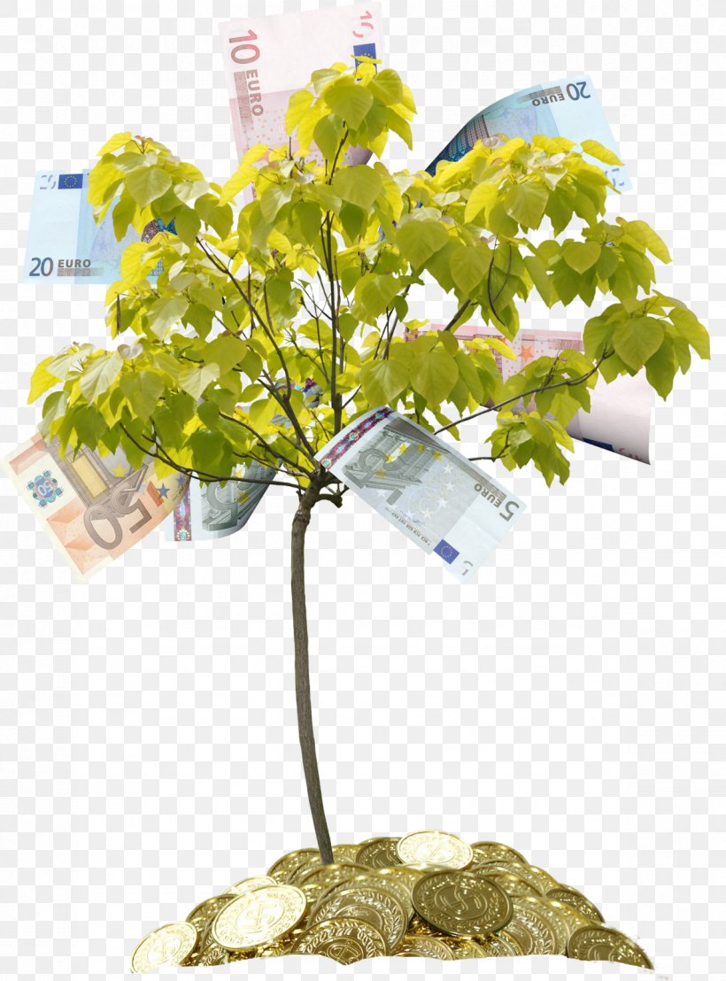 Tree Money Drawing Clip Art, PNG, 1184x1600px, Tree, Bank, Banknote, Branch, Can Stock Photo Download Free