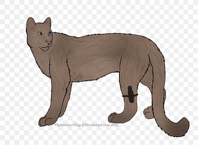 Whiskers Cougar Wildcat Bear, PNG, 880x646px, Whiskers, Animal, Animal Figure, Bear, Big Cat Download Free