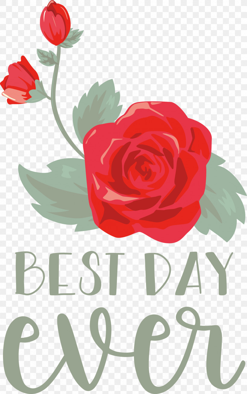 Best Day Ever Wedding, PNG, 1877x3000px, Best Day Ever, Cabbage Rose, Cut Flowers, Floral Design, Flower Download Free