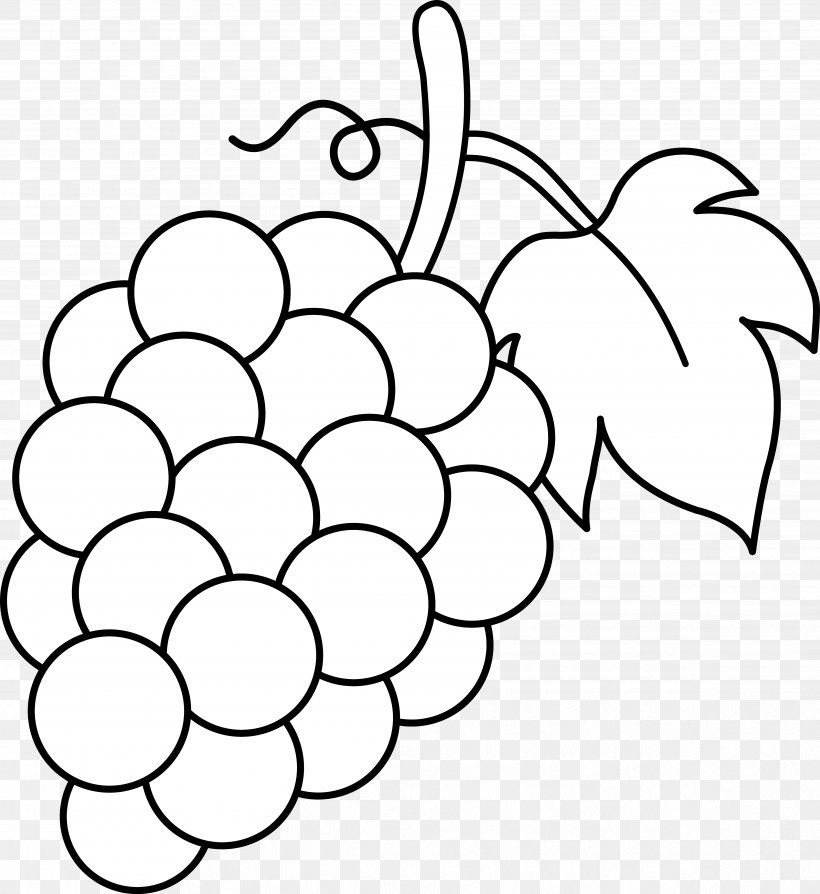 Common Grape Vine Coloring Book Grape Leaves Eggplant, PNG, 4843x5282px, Common Grape Vine, Area, Black And White, Branch, Child Download Free