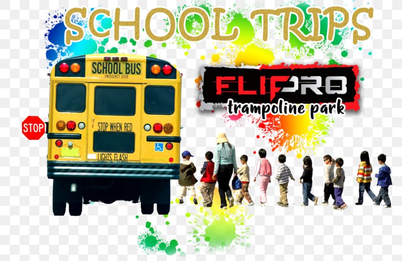 Lauderdale County Schools Letterhead Education Template, PNG, 800x533px, School, Advertising, Brand, Education, Kindergarten Download Free