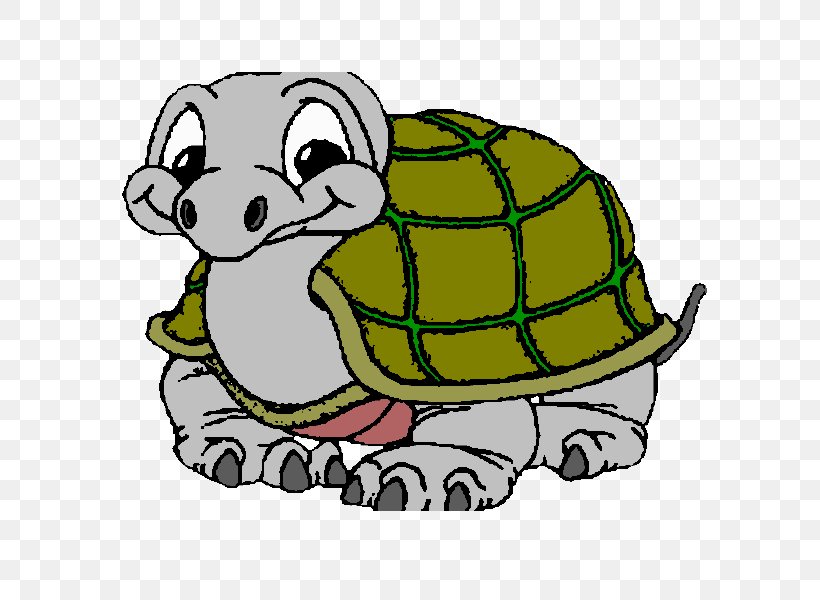 Tortoise Sea Turtle Coloring Book Drawing, PNG, 600x600px, Watercolor, Cartoon, Flower, Frame, Heart Download Free