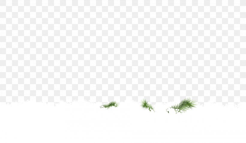 Tree Leaf Desktop Wallpaper Sky Plant, PNG, 1920x1116px, Tree, Branch, Closeup, Grass, Green Download Free