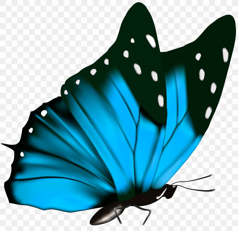 Butterfly Green Clip Art, PNG, 5000x4864px, Butterfly, Arthropod, Birdwing, Black And White, Brush Footed Butterfly Download Free
