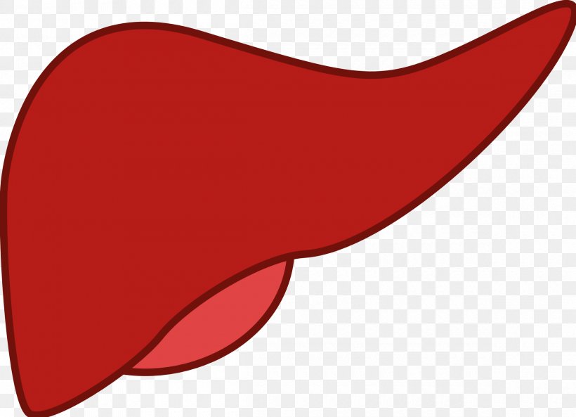 Non-alcoholic Fatty Liver Disease Clip Art, PNG, 2400x1736px, Watercolor, Cartoon, Flower, Frame, Heart Download Free