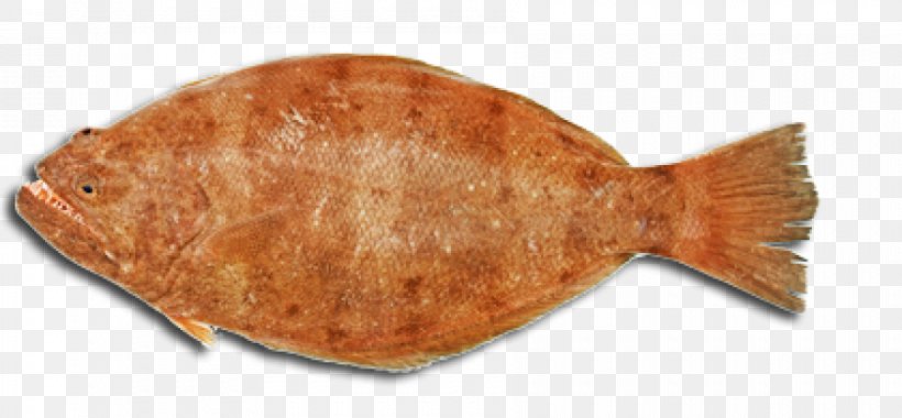 Sole, PNG, 900x418px, Sole, Animal Source Foods, Fish, Fish Products, Flatfish Download Free