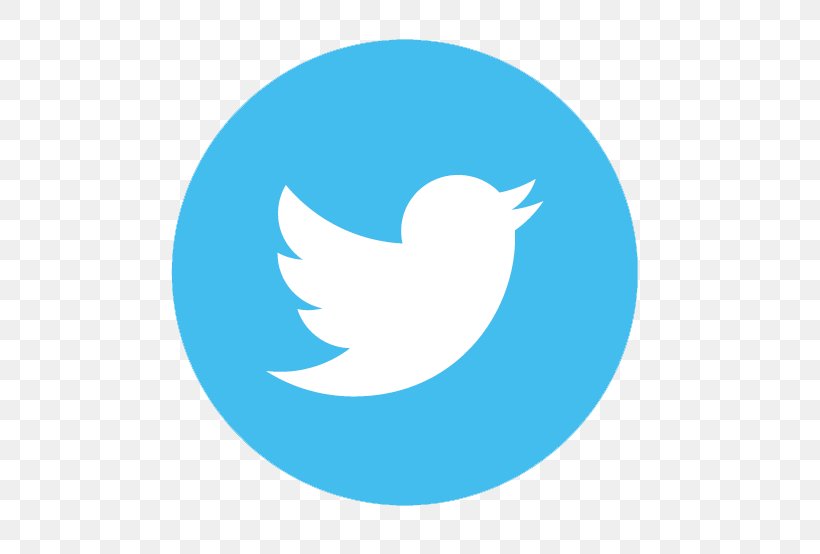 Logo Social Media, PNG, 515x554px, Logo, Aqua, Azure, Beak, Bird Download Free