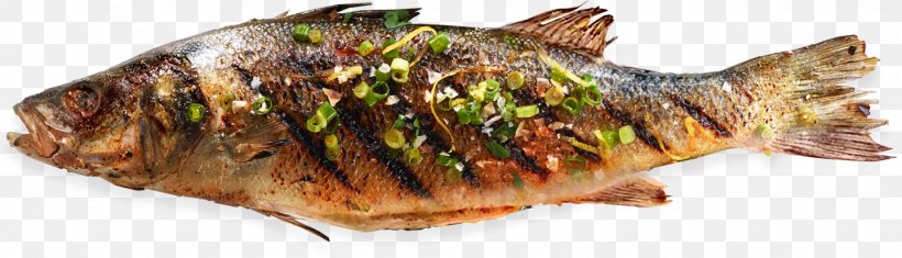 Fish Products Microplastics Seafood, PNG, 1437x412px, Fish, Animal Figure, Banchan, Chub Mackerel, Ecosystem Download Free