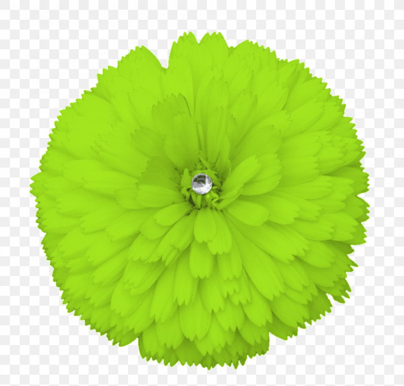 Flower Green Yellow Clip Art, PNG, 1000x955px, Flower, Annual Plant, Blue, Grass, Green Download Free