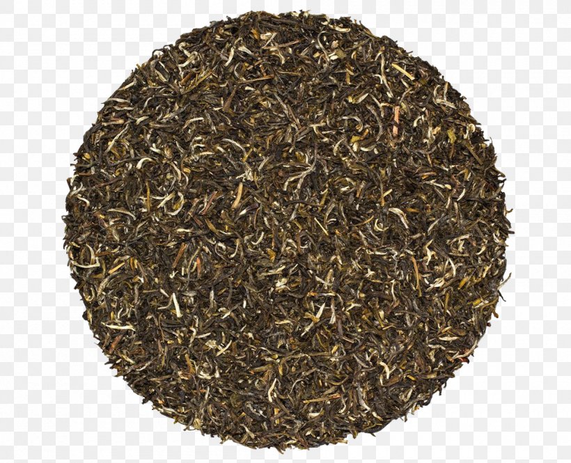 Green Tea Himalayas Organic Food Nilgiri Tea, PNG, 1000x812px, Tea, Antioxidant, Assam Tea, Bancha, Ceylon Tea Download Free