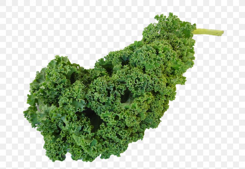 Kale Gravy Vegetarian Cuisine Food Vegetable, PNG, 849x585px, Kale, Brassica Oleracea, Broccoli, Cabbage, Chinese Broccoli Download Free