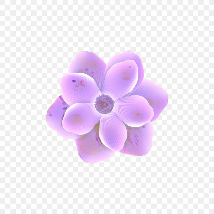 Violet Purple Lilac Petal Drawing, PNG, 2289x2289px, Violet, Anemone, Blue, Color, Drawing Download Free