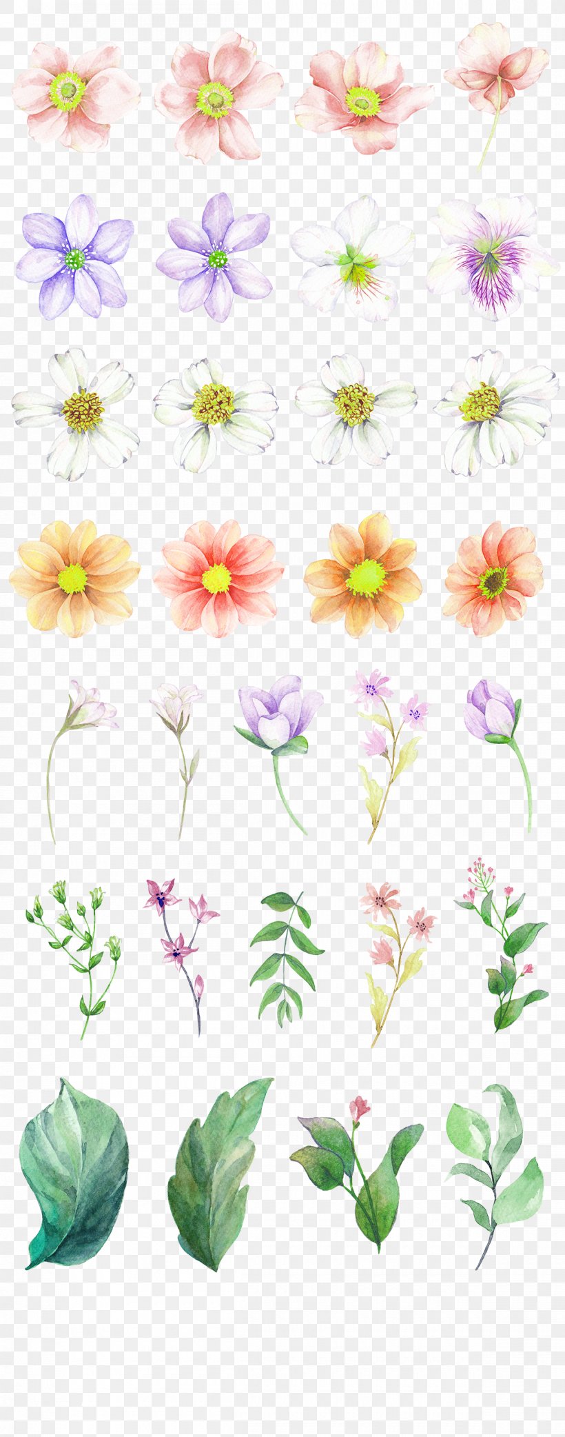 Watercolor Painting Drawing Download, PNG, 1200x3050px, Watercolor Painting, Color, Dahlia, Designer, Drawing Download Free