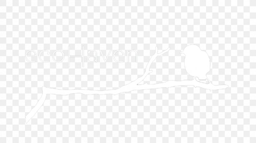 Brand White Line Angle, PNG, 1000x560px, Brand, Black And White, Rectangle, Text, White Download Free