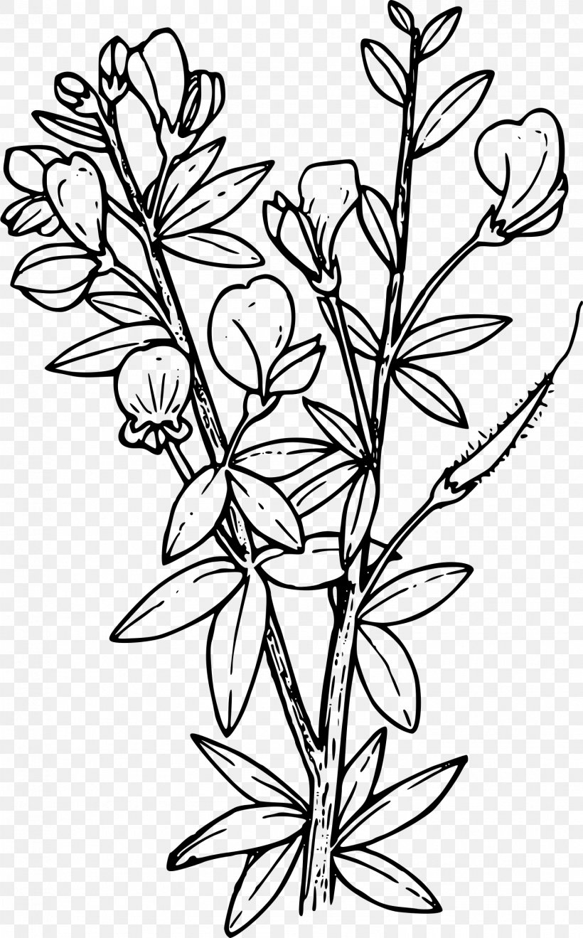 Coloring Book Wildflower Adult Child, PNG, 1492x2400px, Coloring Book, Adult, Art, Black And White, Branch Download Free