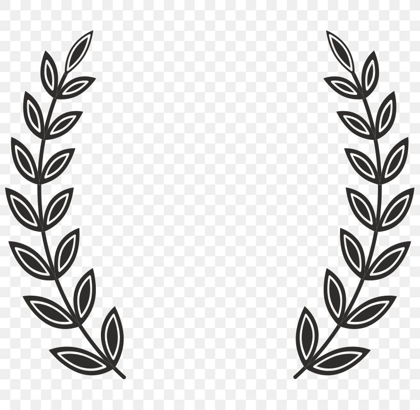 Laurel Wreath Stock Photography Clip Art, PNG, 800x800px, Laurel Wreath, Bay Laurel, Black And White, Branch, Can Stock Photo Download Free