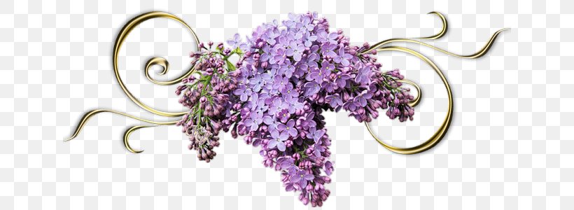 Lilac, PNG, 640x300px, Lilac, Body Jewelry, Cut Flowers, Digital Image, Flower Download Free
