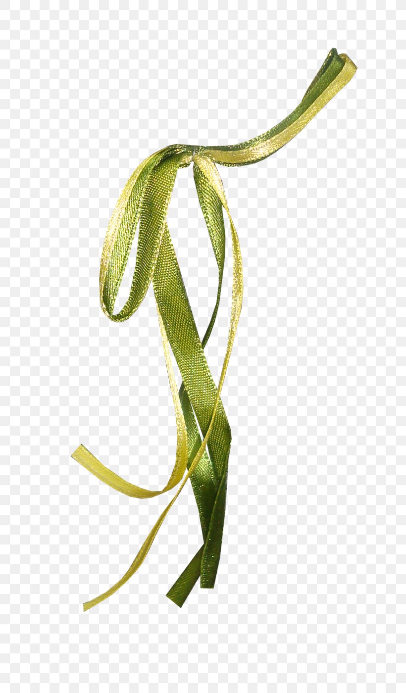 S-shaped Ribbon, PNG, 700x1400px, Ribbon, Branch, Grass, Grass Family, Green Download Free