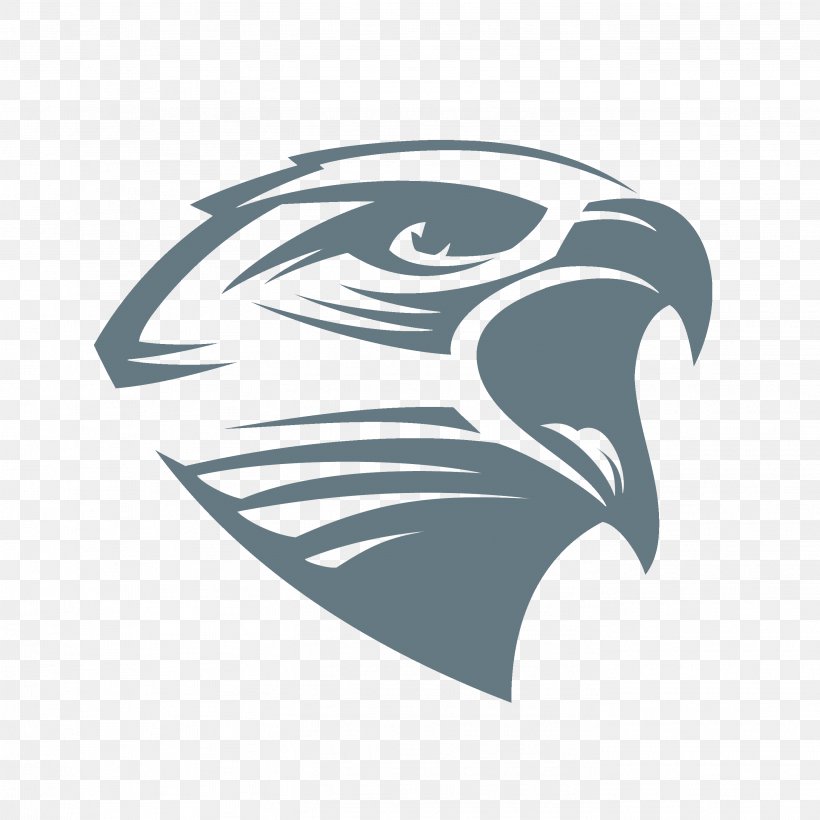 Bald Eagle Logo, PNG, 2801x2801px, Bald Eagle, Art, Beak, Bird, Bird Of Prey Download Free