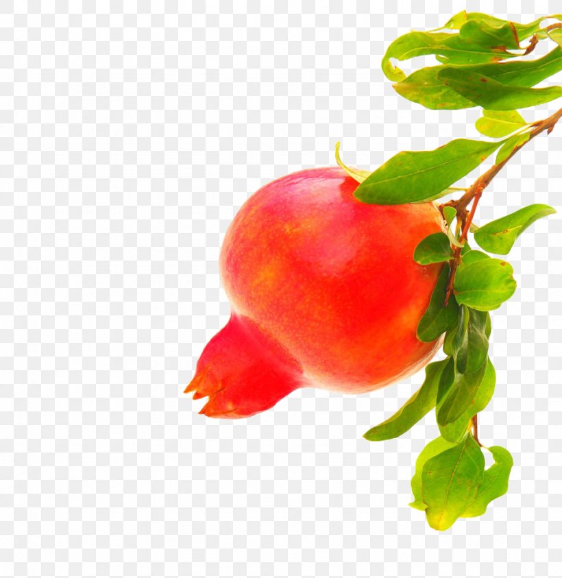 Barbados Cherry Pomegranate Stock Photography, PNG, 972x1000px, Barbados Cherry, Acerola, Acerola Family, Apple, Auglis Download Free