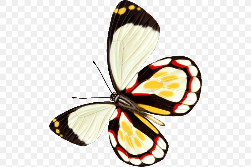 Butterfly Insect Computer File, PNG, 500x545px, Butterfly, Arthropod, Brush Footed Butterfly, Butterflies And Moths, Gratis Download Free