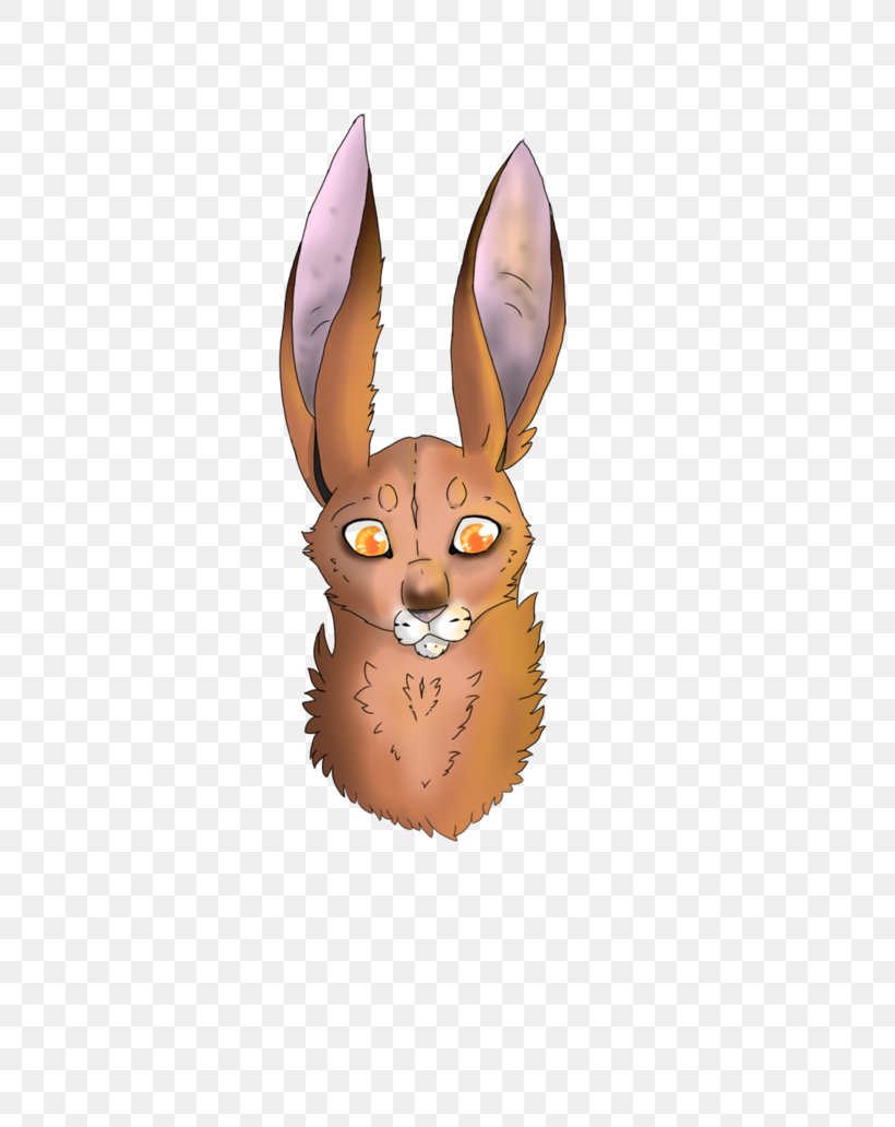 Domestic Rabbit Hare Tail, PNG, 774x1032px, Domestic Rabbit, Fauna, Hare, Mammal, Rabbit Download Free
