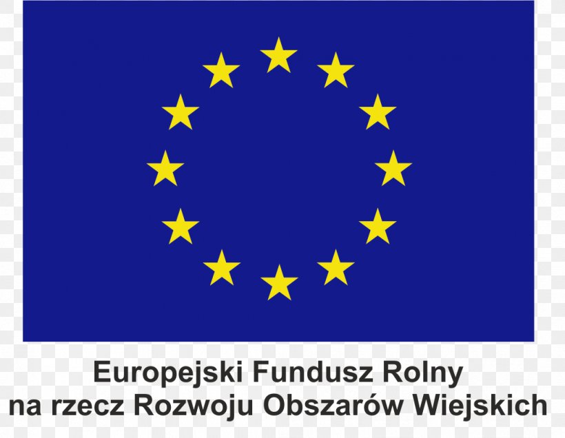 European Union Law Conservatoire D'espaces Naturels De Picardie Organization EU-Russia Civil Society Forum, PNG, 1035x804px, European Union, Area, Data Protection Directive, European Single Market, European Union Law Download Free