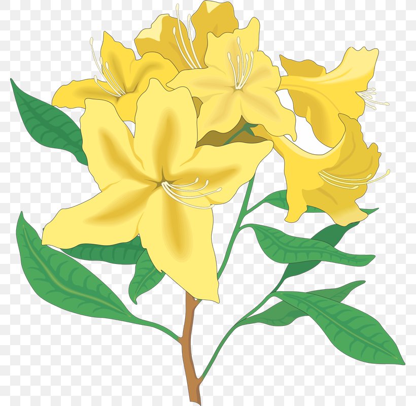 Floral Design Flower Rhododendron Clip Art, PNG, 779x800px, Floral Design, Azalea, Cut Flowers, Flora, Floristry Download Free