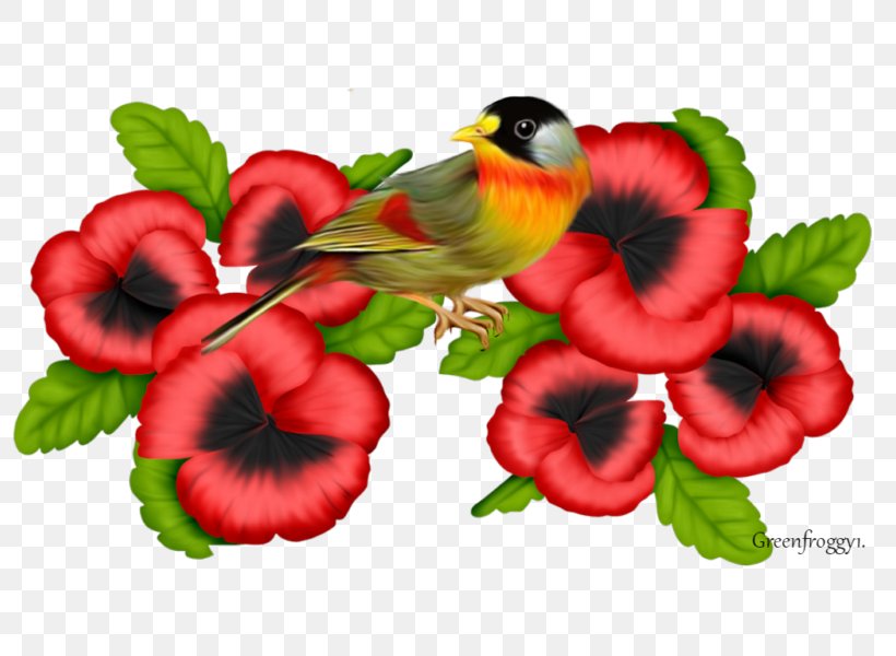 Flower Idea Clip Art, PNG, 800x600px, Flower, Art, Auglis, Beak, Drawing Download Free