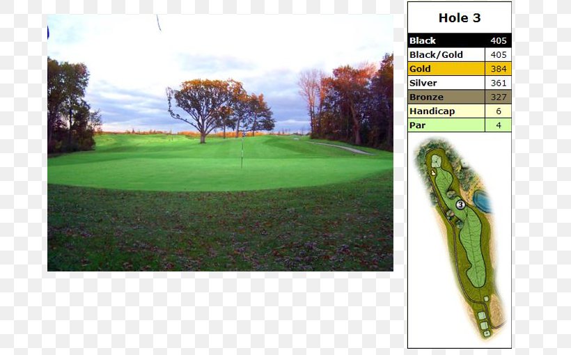 Golf Course Golf Tees Lawn Blackstone Golf Club, PNG, 710x510px, Golf Course, Golf, Golf Club, Golf Equipment, Golf Tees Download Free