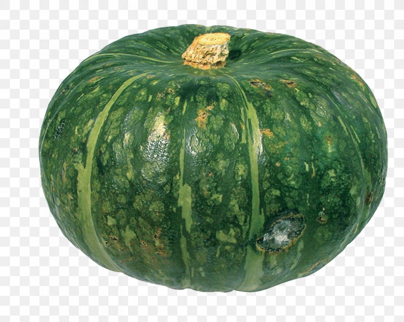 Pumpkin Watermelon Vegetable Winter Squash Kabocha, PNG, 835x665px, Pumpkin, Citrullus, Cucumber Gourd And Melon Family, Cucumis, Cucurbita Download Free