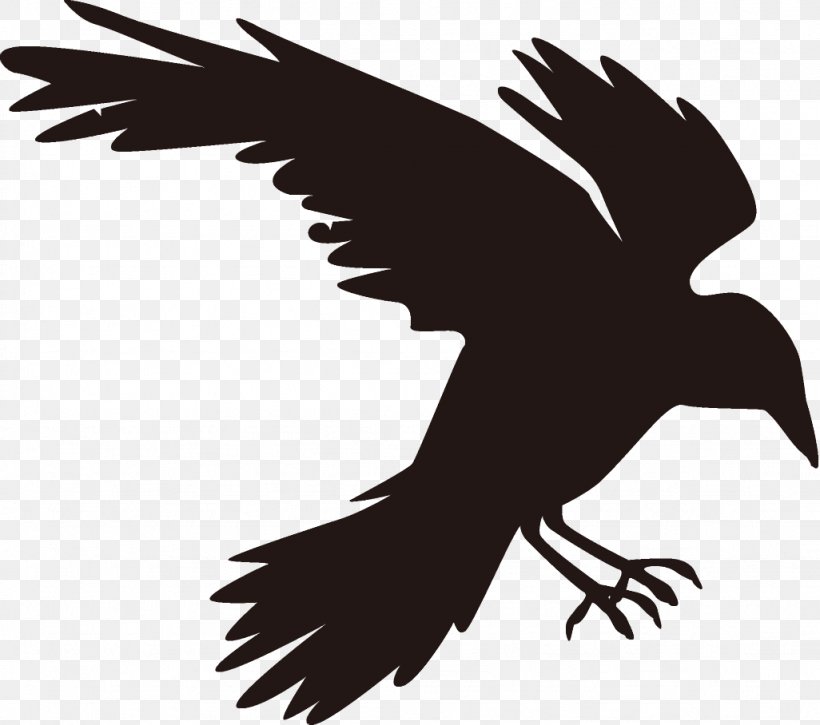 Raven Halloween Crow, PNG, 1026x908px, Raven, Beak, Bird, Bird Of Prey, Crow Download Free