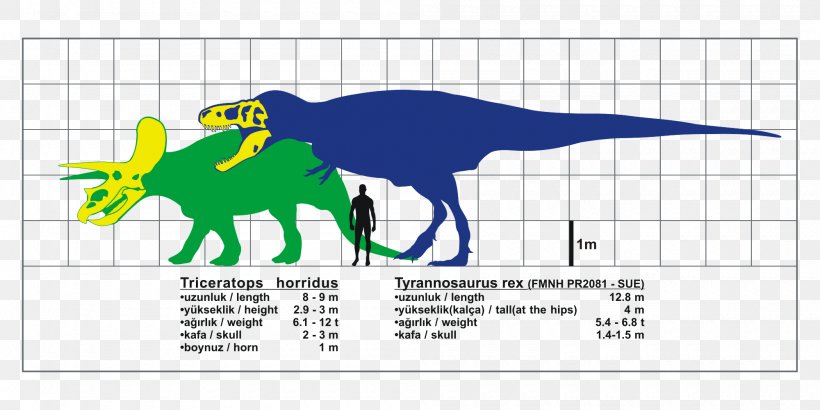 Tyrannosaurus Triceratops Spinosaurus Tarbosaurus Giganotosaurus, PNG, 2000x1000px, Tyrannosaurus, Area, Beak, Brand, Cartoon Download Free