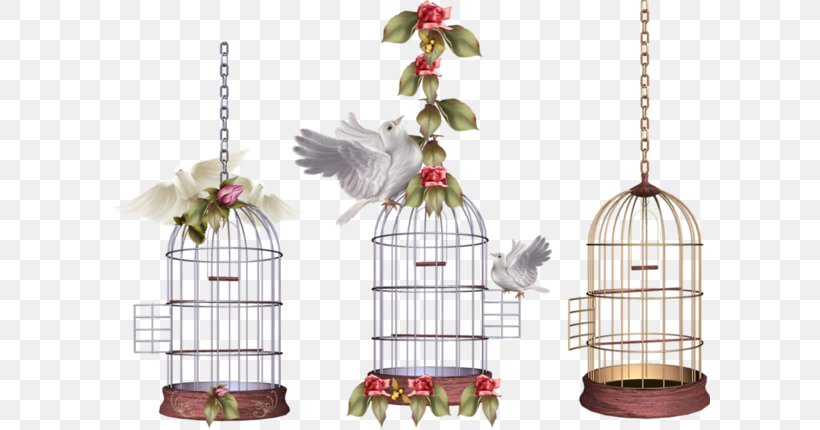 Birdcage Parrot, PNG, 600x430px, Bird, Birdcage, Cage, Cockatiel, Parrot Download Free