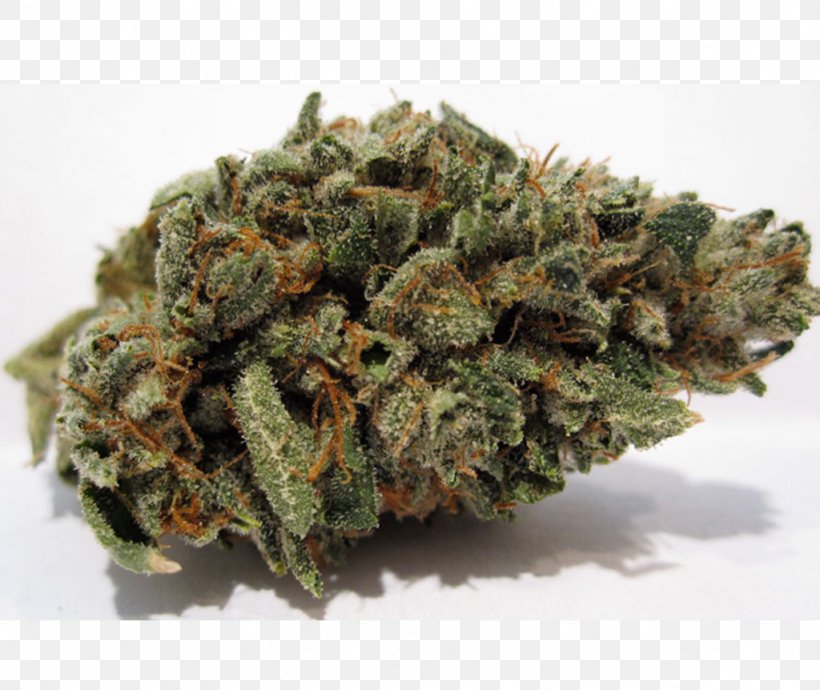 Kush Cannabis Luke Skywalker Hash Oil Blue Dream, PNG, 1024x862px, Kush, Blue Dream, Cannabis, Cannabis Sativa, Hash Oil Download Free
