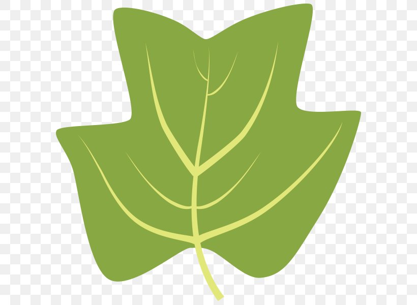 Leaf Tree Silver Maple Bur Oak Sweetgum, PNG, 600x600px, Leaf, Arbor Day Foundation, Bur Oak, Green, Juniper Download Free