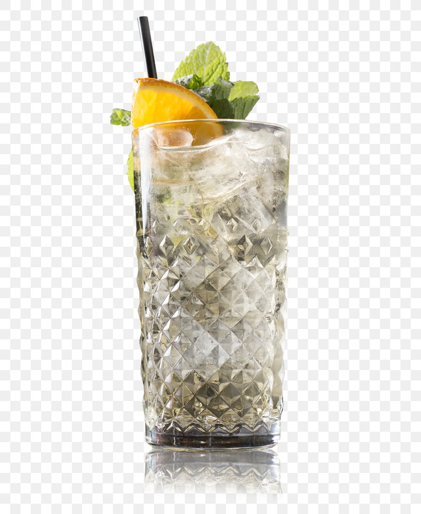 Mint Julep Gin And Tonic Cocktail Garnish Vodka Tonic Tonic Water, PNG, 600x1000px, Mint Julep, Alcoholic Drink, Cocktail, Cocktail Garnish, Drink Download Free