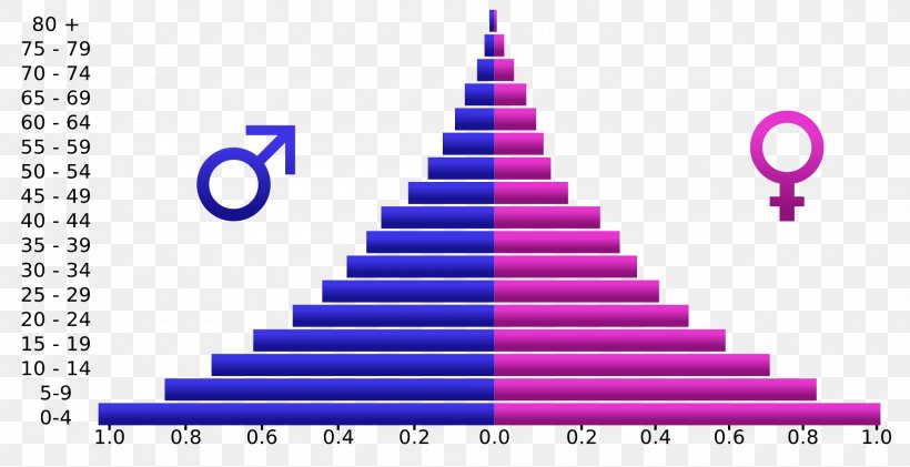 Population Pyramid Demographic Transition Population Age Structure Demography, PNG, 2000x1027px, Population Pyramid, Brand, Chart, Christmas Decoration, Christmas Ornament Download Free