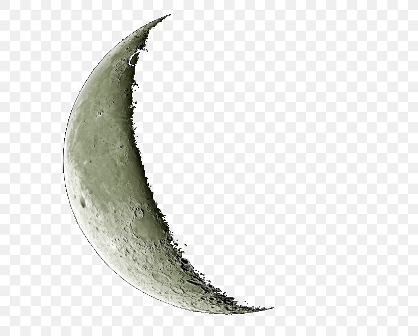 Crescent Moon Lunar Phase Image, PNG, 659x659px, Crescent, Lua Em Quarto Crescente, Lunar Phase, Moon, Perennial Plant Download Free