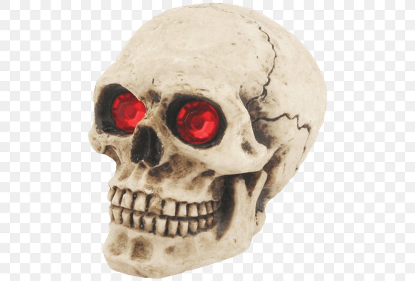 Skull Knob Gear Stick Skeleton Shift Knob, PNG, 555x555px, Skull, Bone, Ceramic, Collectable, Copper Download Free