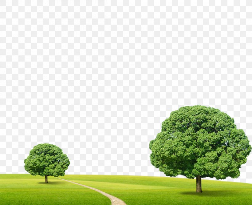 Tree Clip Art, PNG, 1200x975px, Tree, Chart, Computer Graphics, Grass, Landscape Download Free