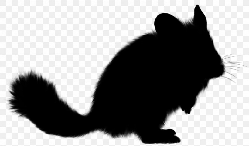 Whiskers Domestic Rabbit Cat Squirrel Fur, PNG, 1485x873px, Whiskers, Black M, Blackandwhite, Cat, Domestic Rabbit Download Free