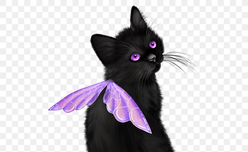 Kitten Black Cat Whiskers Domestic Short-haired Cat, PNG, 503x503px, Kitten, Art, Black Cat, Butterfly, Canvas Download Free