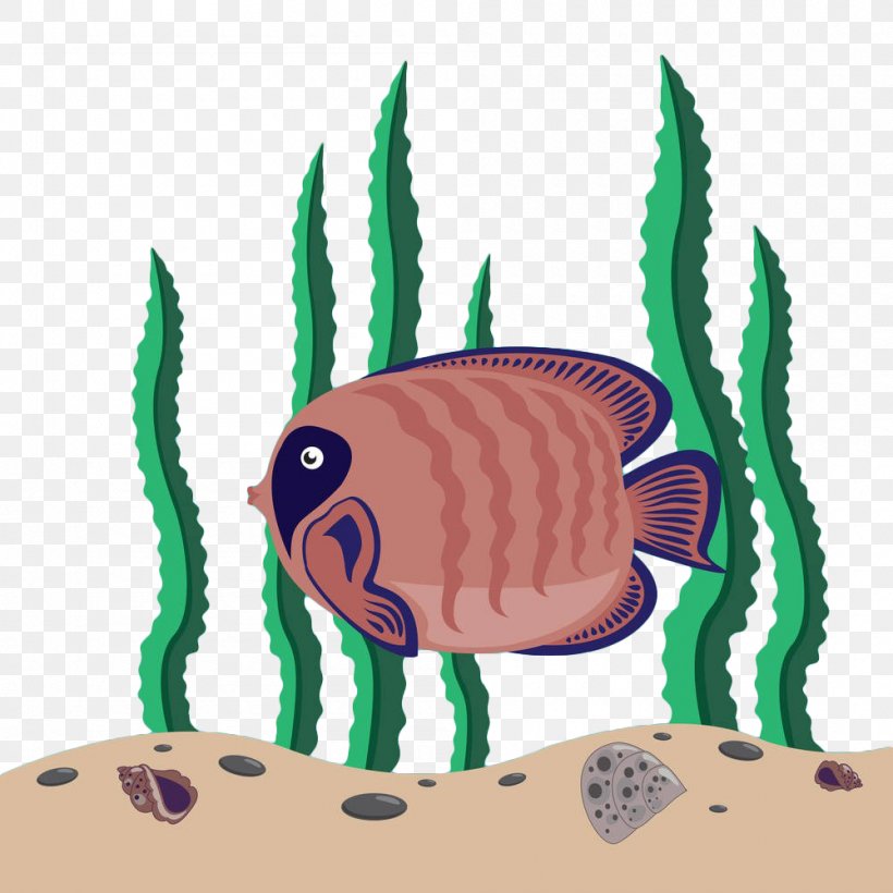 Seaweed Algae Fish, PNG, 1000x1000px, Seaweed, Algae, Aquatic Plant, Fauna, Fish Download Free