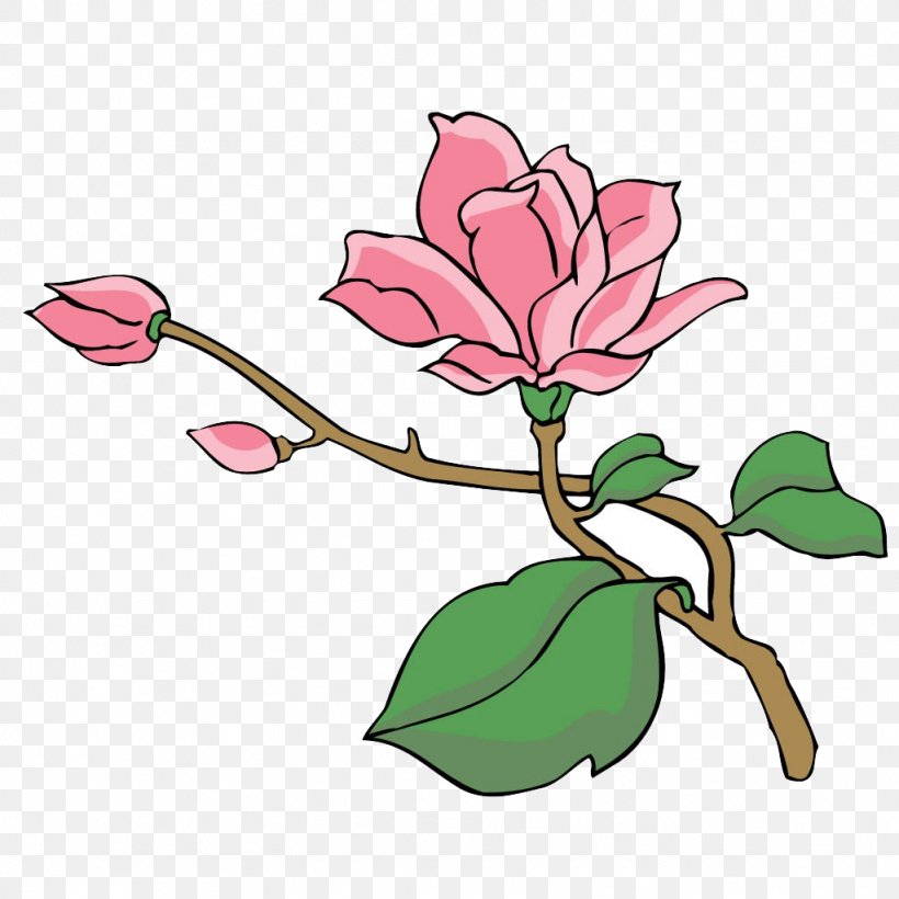 Magnolia Tree Euclidean Vector, PNG, 1024x1024px, Tree, Blossom, Branch, Clip Art, Flora Download Free