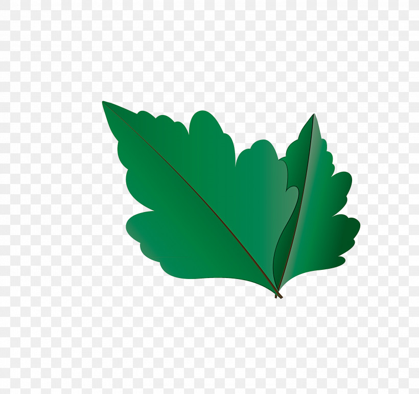 Maple Leaf, PNG, 3000x2824px, Autumn Leaf, Autumn Leaf Color, Biology, Branch, Cartoon Leaf Download Free