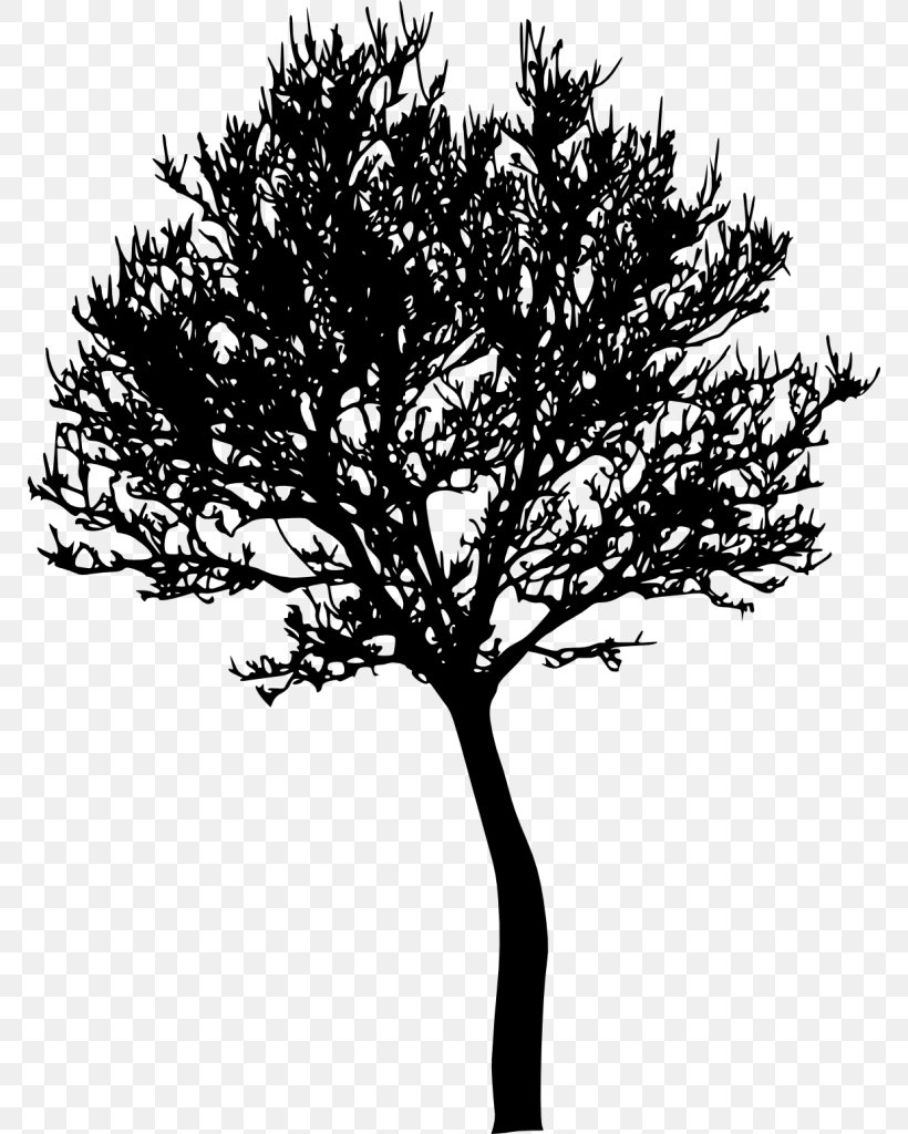 Clip Art, PNG, 770x1024px, Tree, Arecaceae, Black And White, Branch, Drawing Download Free