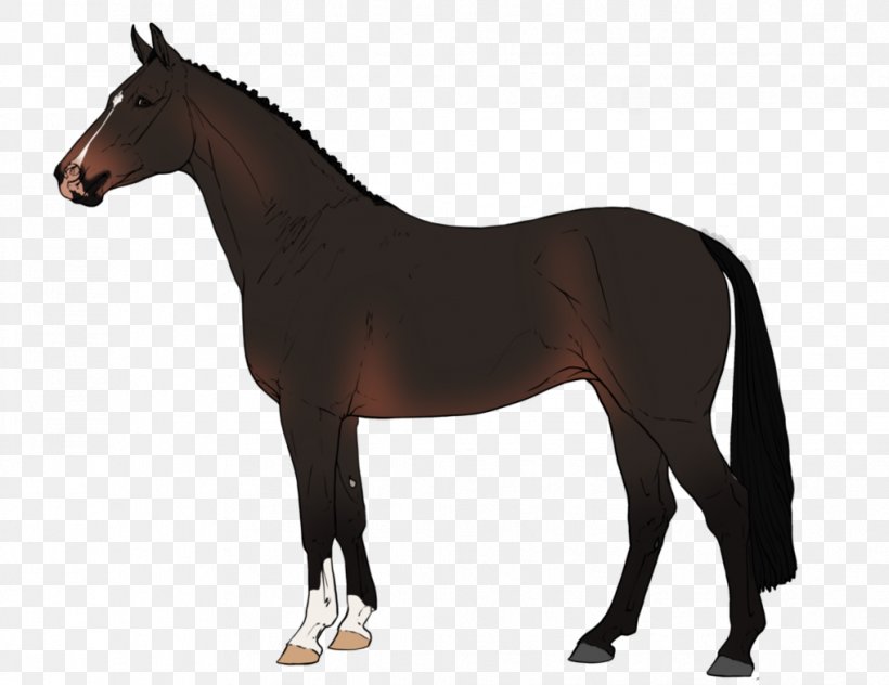 Equestrian Mustang Stallion Warmblood Akhal-Teke, PNG, 1018x785px, Equestrian, Akhalteke, American Girl, Breed, Bridle Download Free
